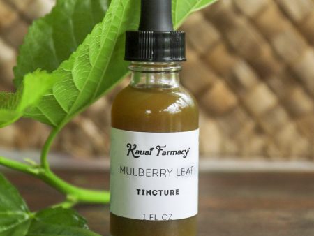 NEW! Mulberry Leaf Tincture Discount