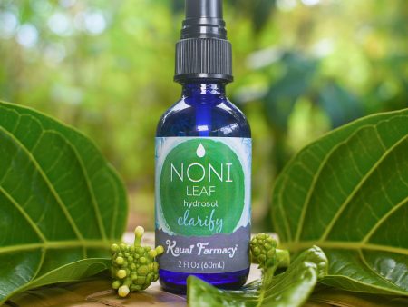 Noni Leaf Hydrosol Online