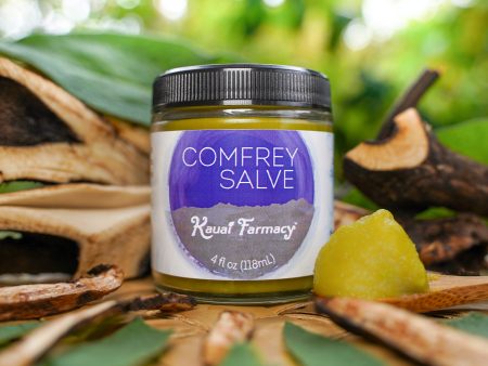 Comfrey Salve Supply