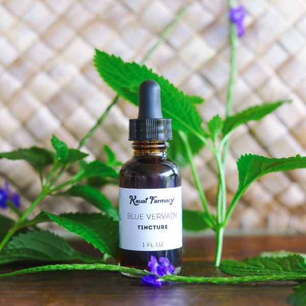 Blue Vervain Tincture Hot on Sale