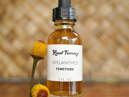 Spilanthes Tincture on Sale