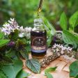 Tulsi Serum Hot on Sale