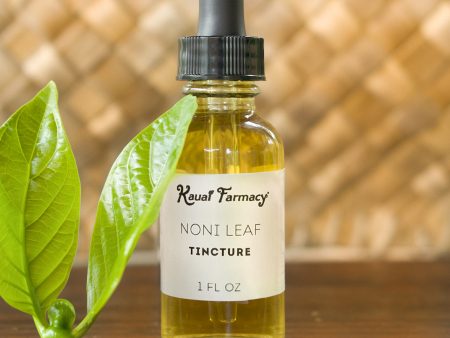 Noni Leaf Tincture Online now