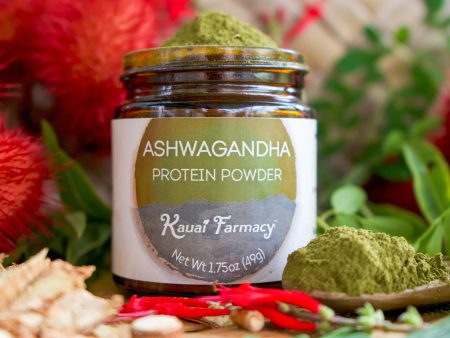 Ashwagandha Protein Powder Supply