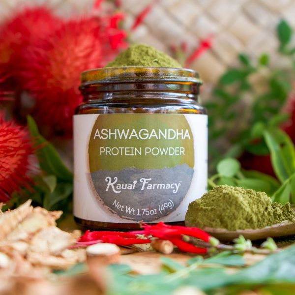 Ashwagandha Protein Powder Supply