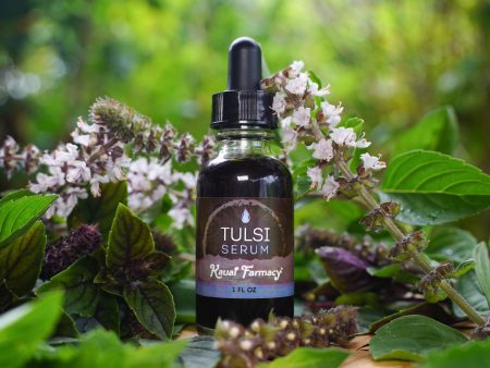 Tulsi Serum Hot on Sale