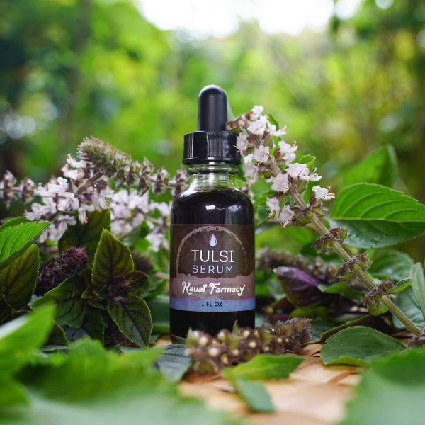 Tulsi Serum Hot on Sale