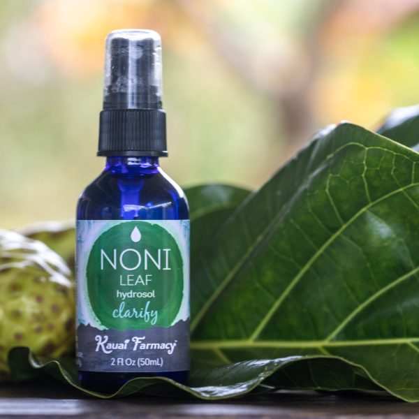 Noni Leaf Hydrosol Online