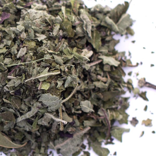 Tulsi Tea Blend Online now