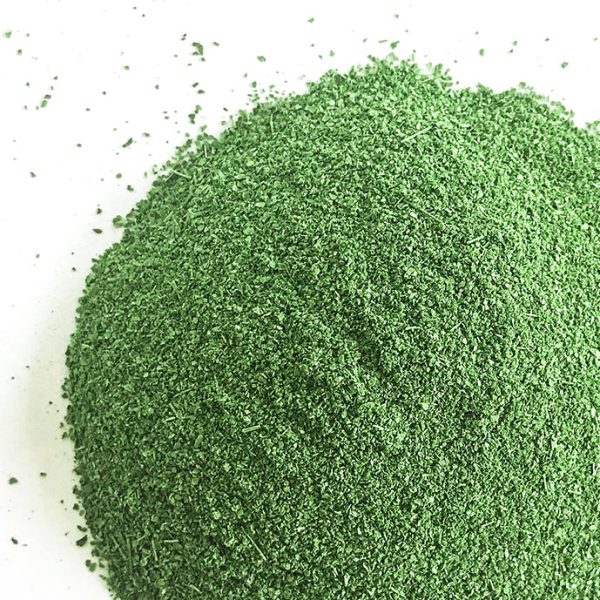 Moringa Superfood Powder Fashion