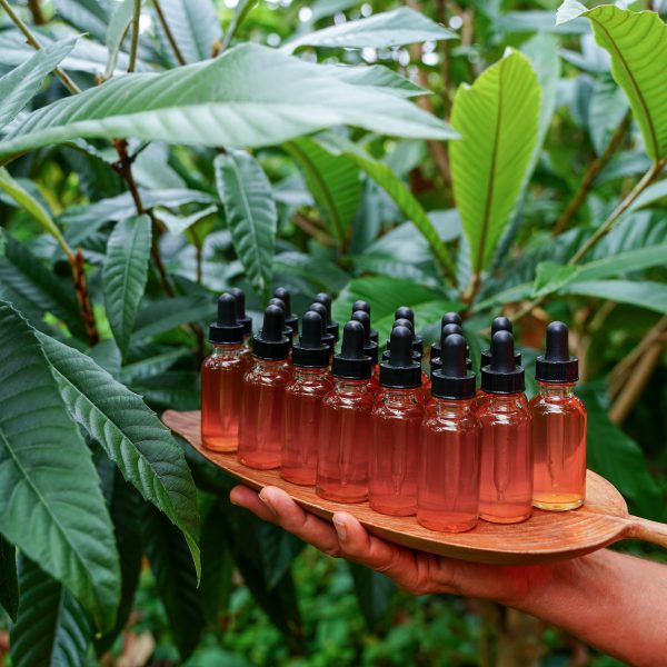 NEW! Loquat Leaf Tincture on Sale