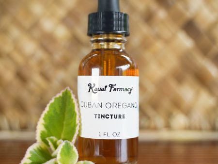 Cuban Oregano Tincture For Discount