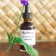 Blue Vervain Tincture Hot on Sale