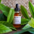 NEW! Loquat Leaf Tincture on Sale