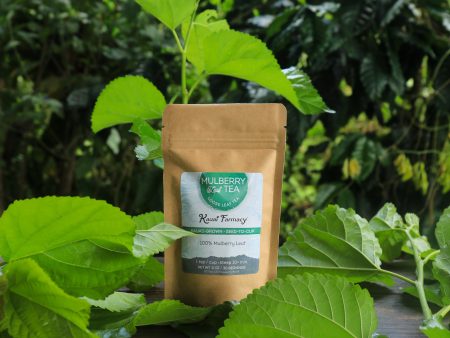 0.5 oz Mulberry Leaf Tea For Cheap