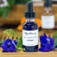 Butterfly Pea Tincture Supply