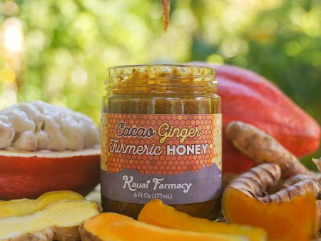 Cacao Ginger Turmeric Honey Hot on Sale